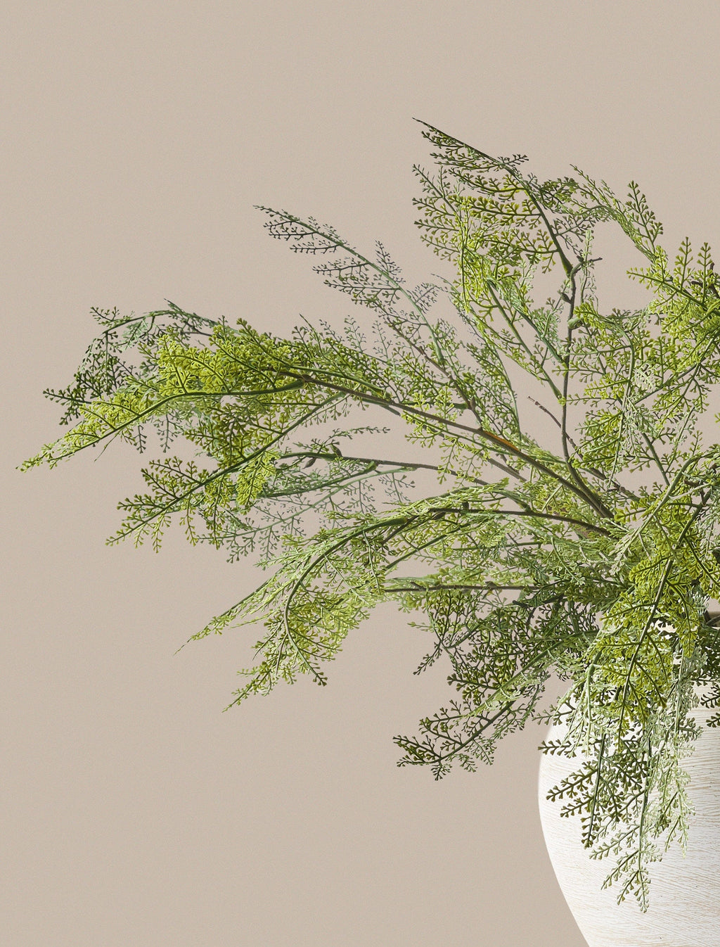 Winter Fern