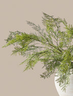 Winter Fern