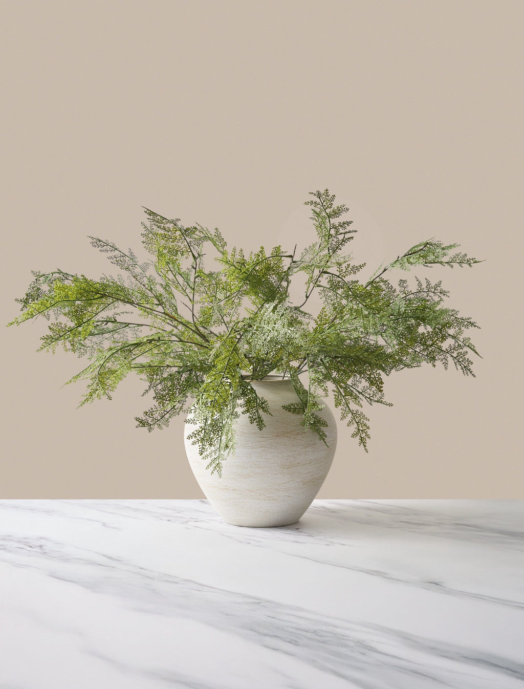 Winter Fern