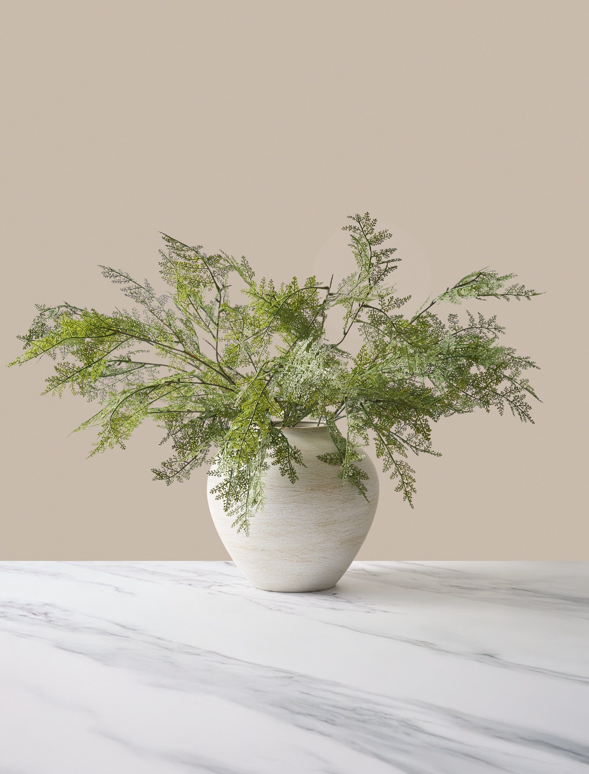 Winter Fern