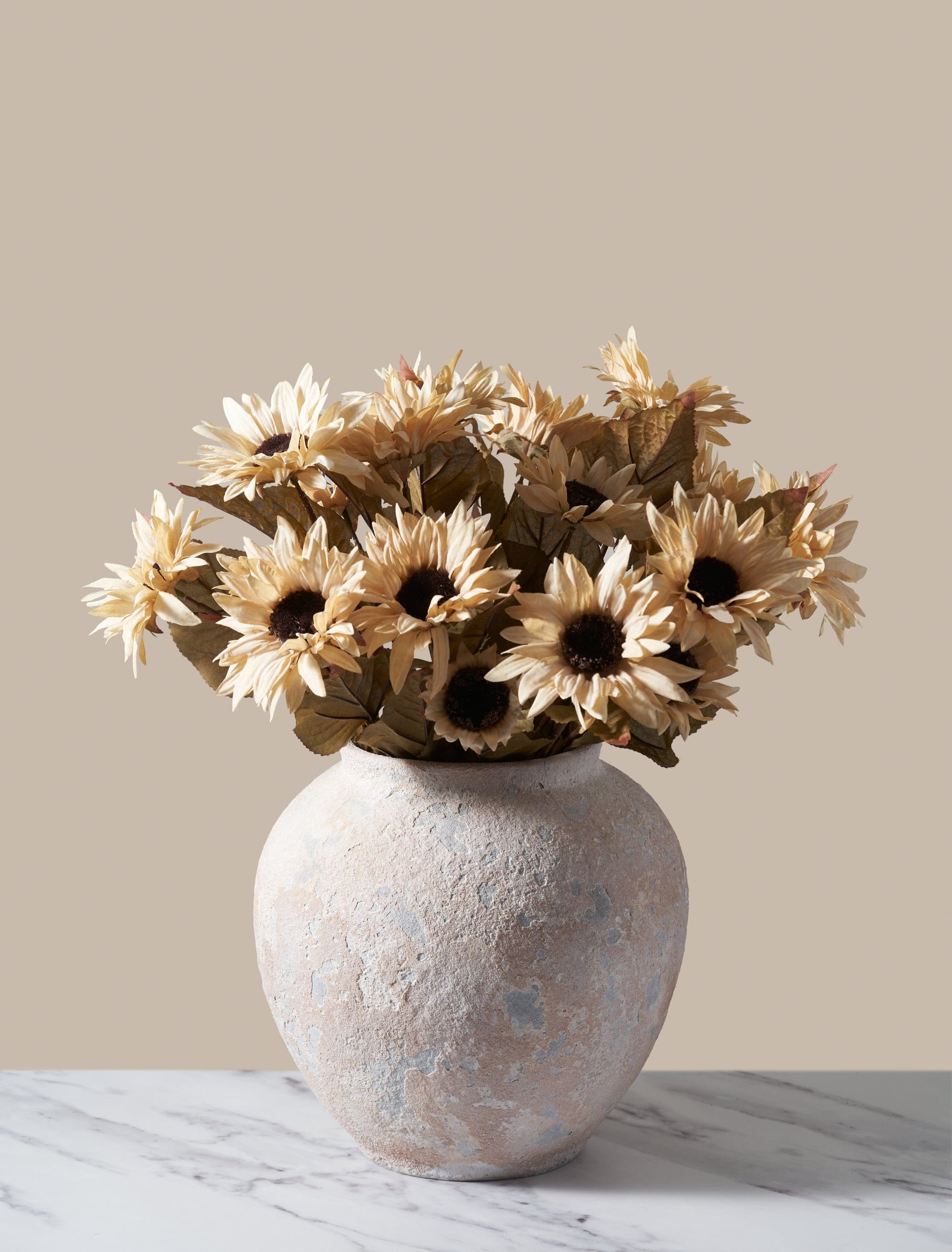 Beige Autumn Sunflower