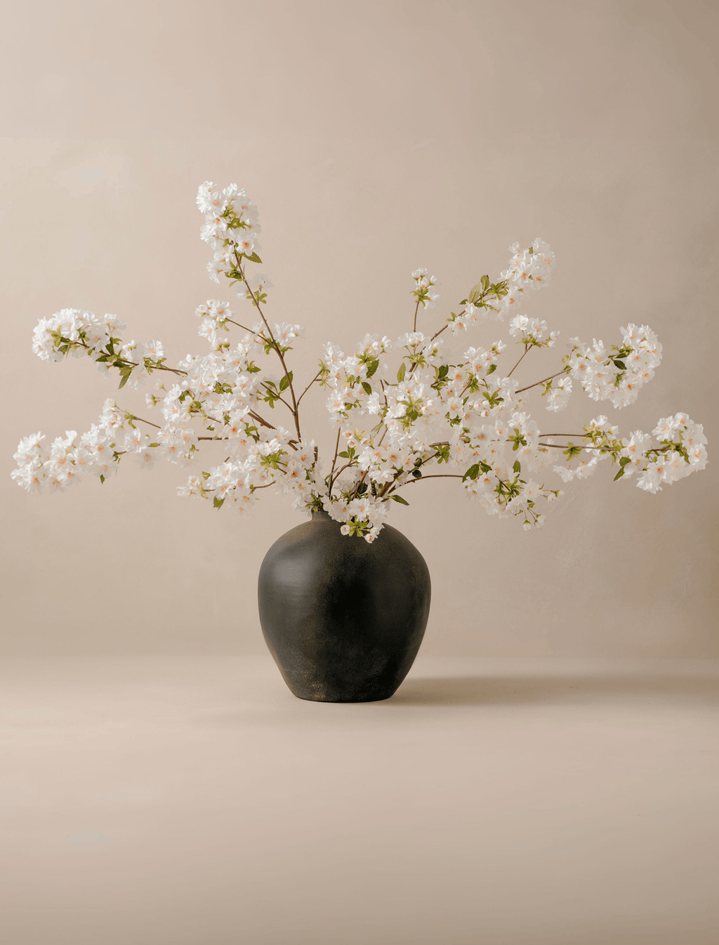White Cherry Blossom