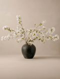 White Cherry Blossom