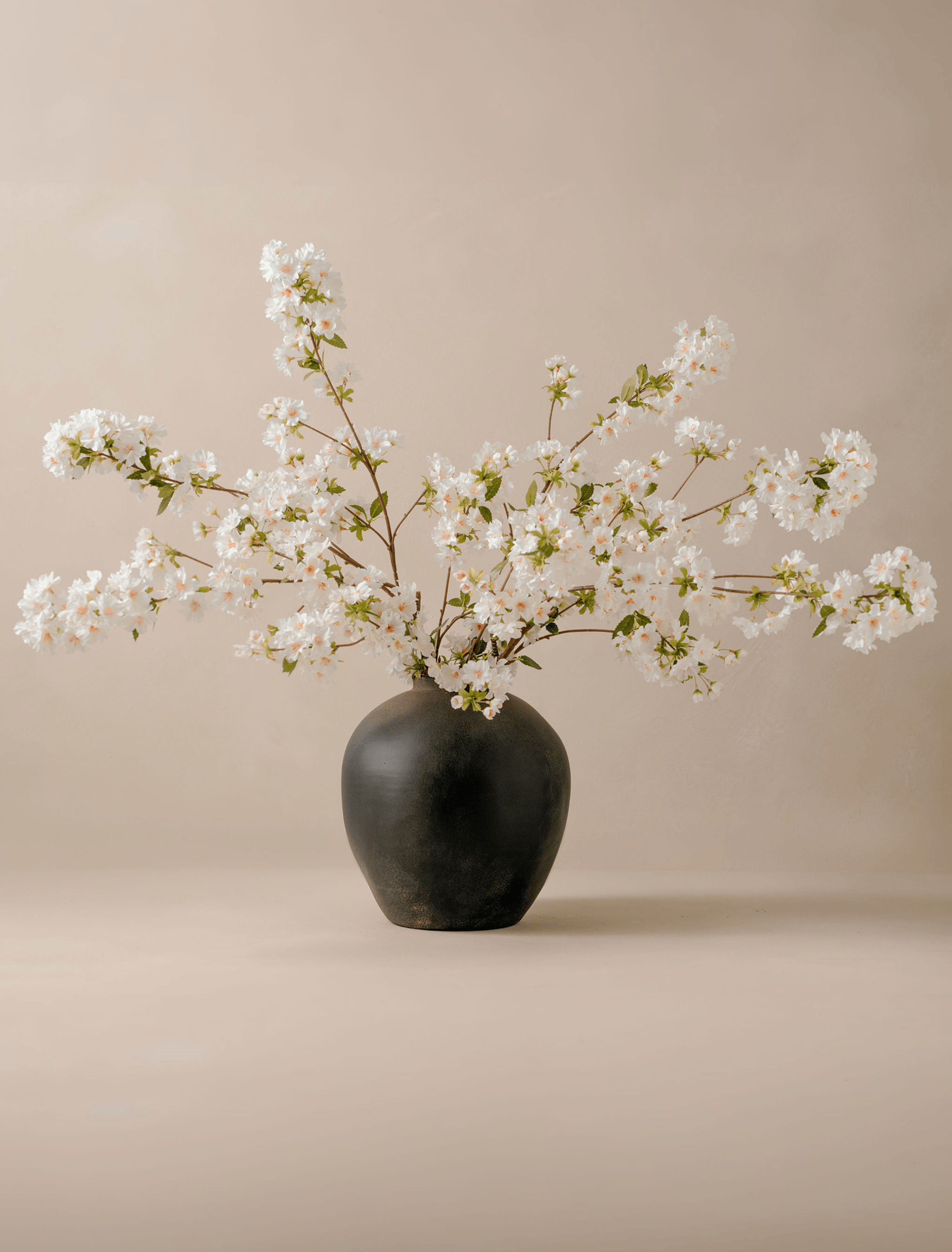 White Cherry Blossom