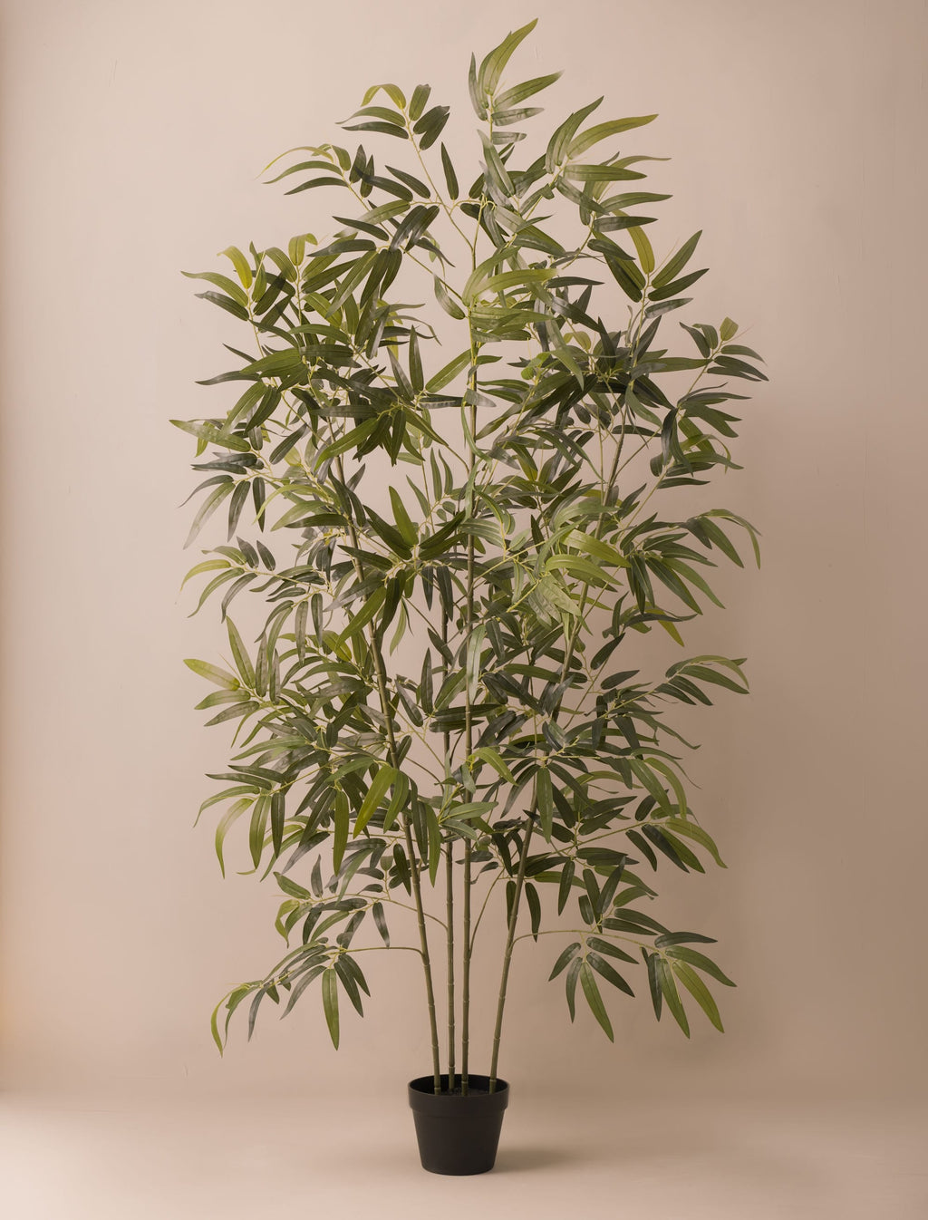 Bamboo Tree