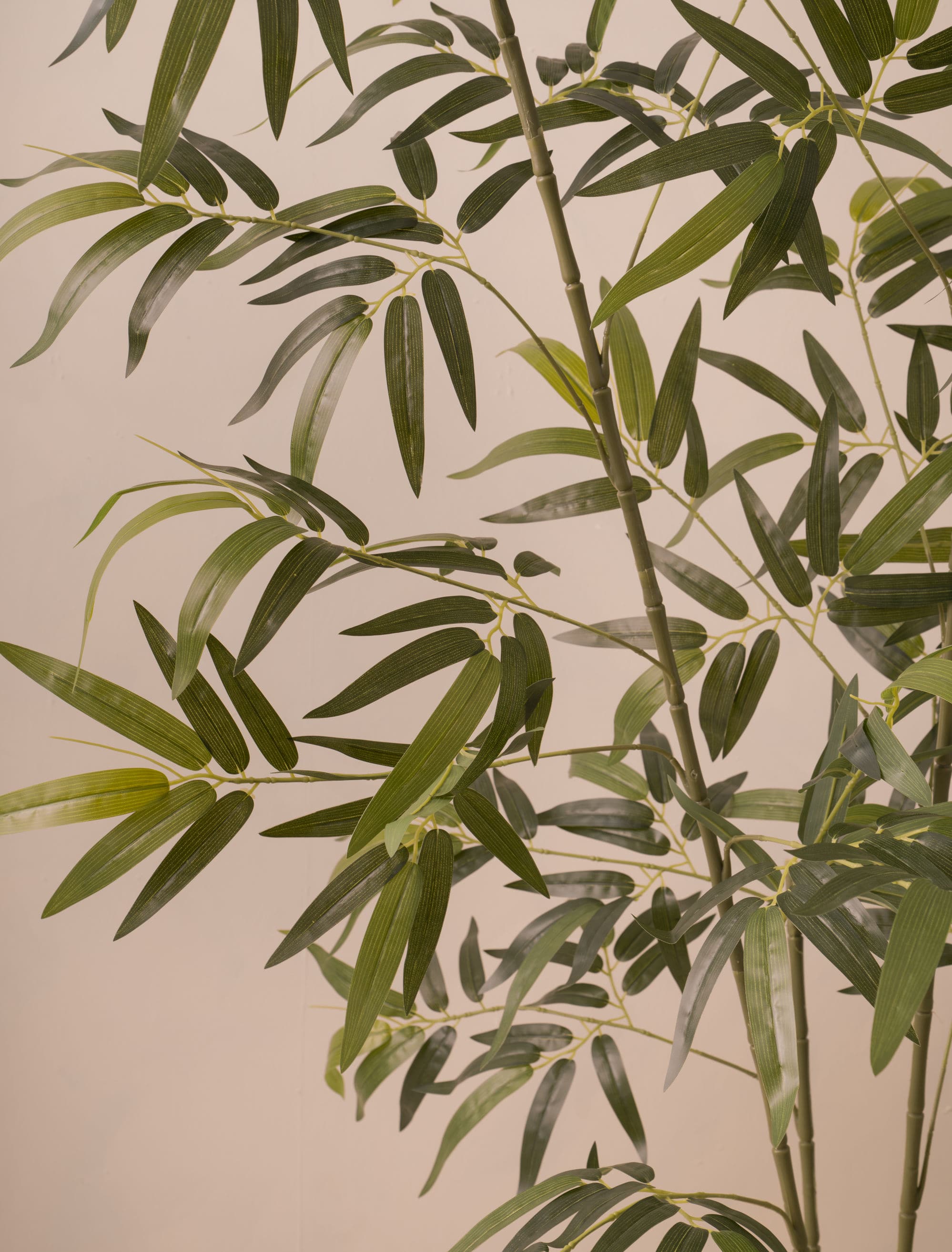 Bamboo Tree