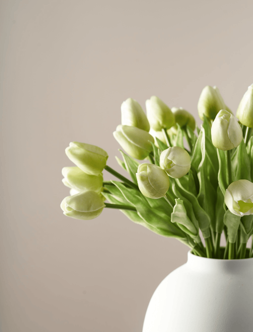 Green Tulip