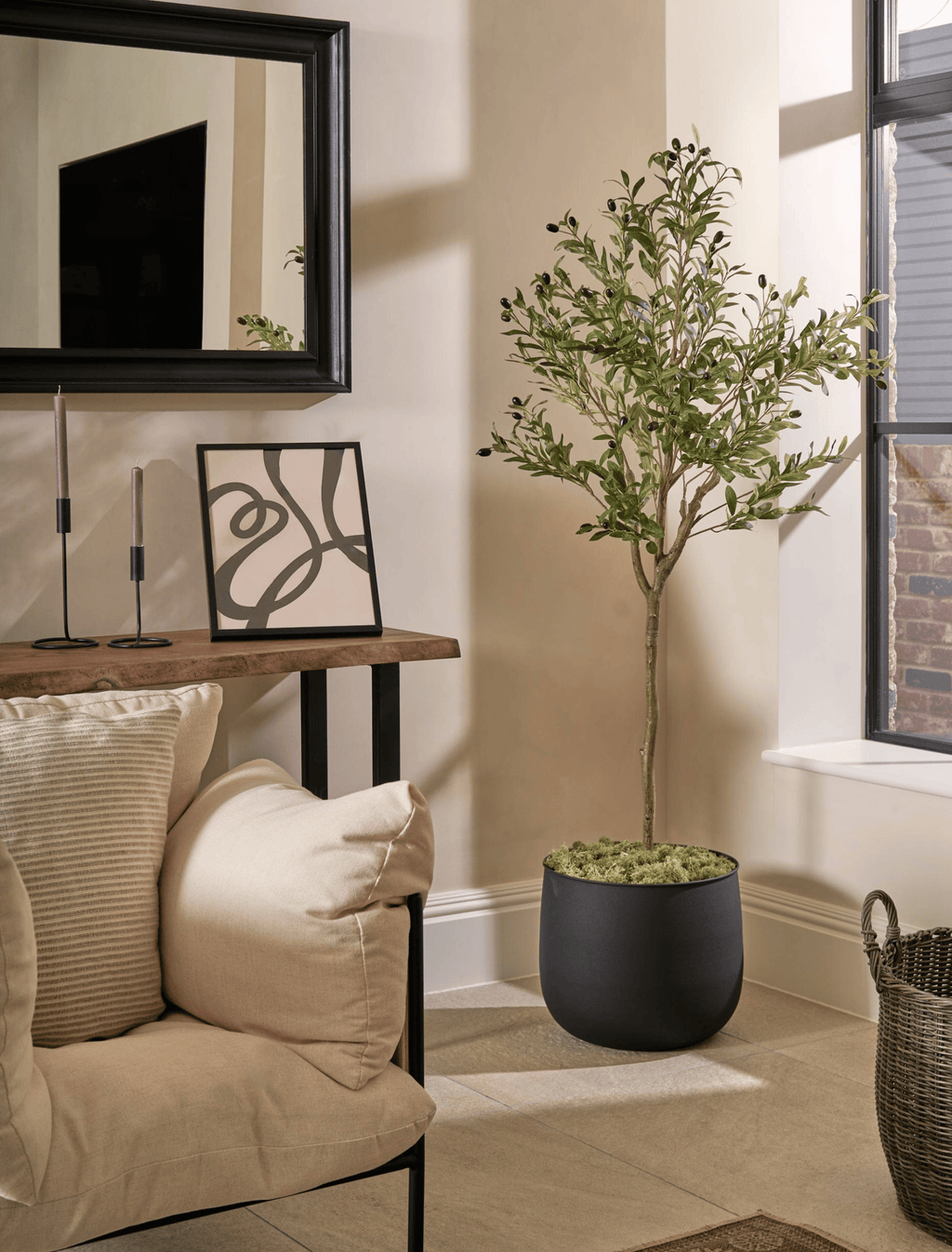 Olive Tree