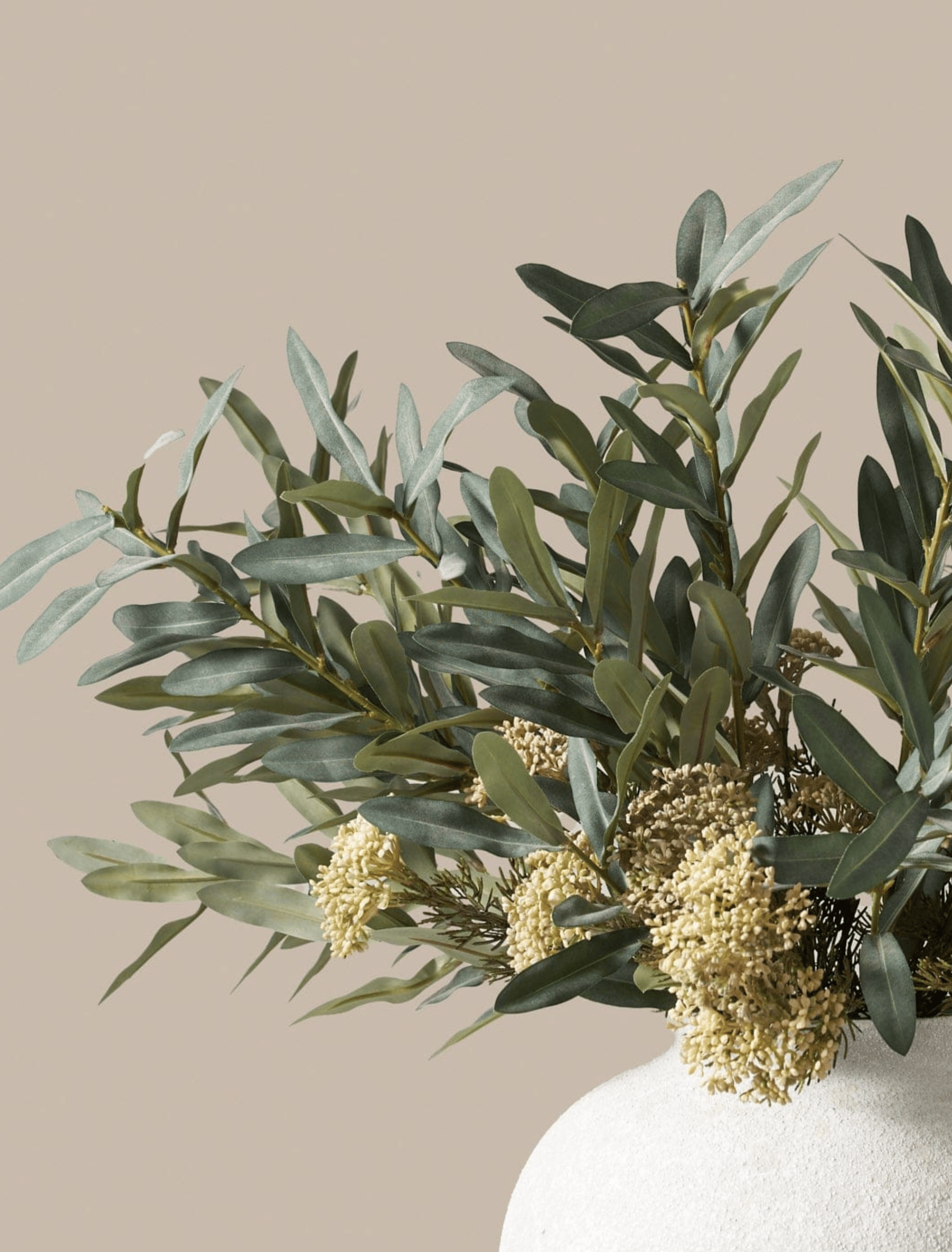 Olive Sage Berry
