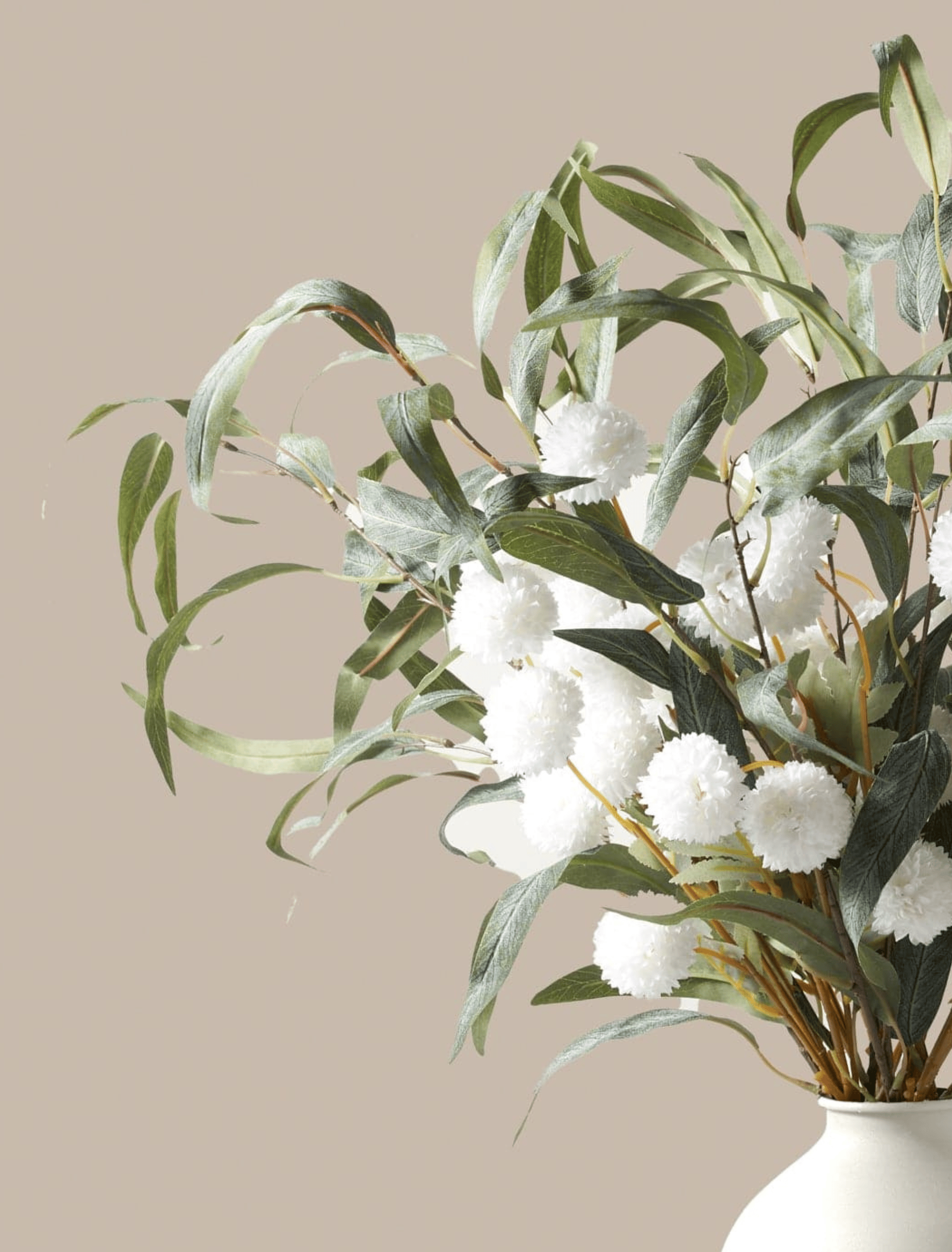 Willow Eucalyptus White