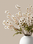 White Wax Flower