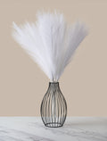 White Pampas Grass