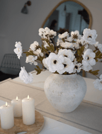 White Moutan Peony