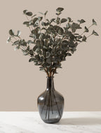 Green Eucalyptus
