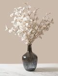 White Eucalyptus