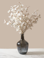 White Eucalyptus