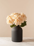 Cream Hydrangea Bouquet
