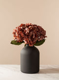 Dusky Pink Hydrangea