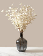 Ivory Eucalyptus