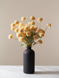 Yellow Kiku Flower