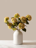Citrus Rose Hydrangea
