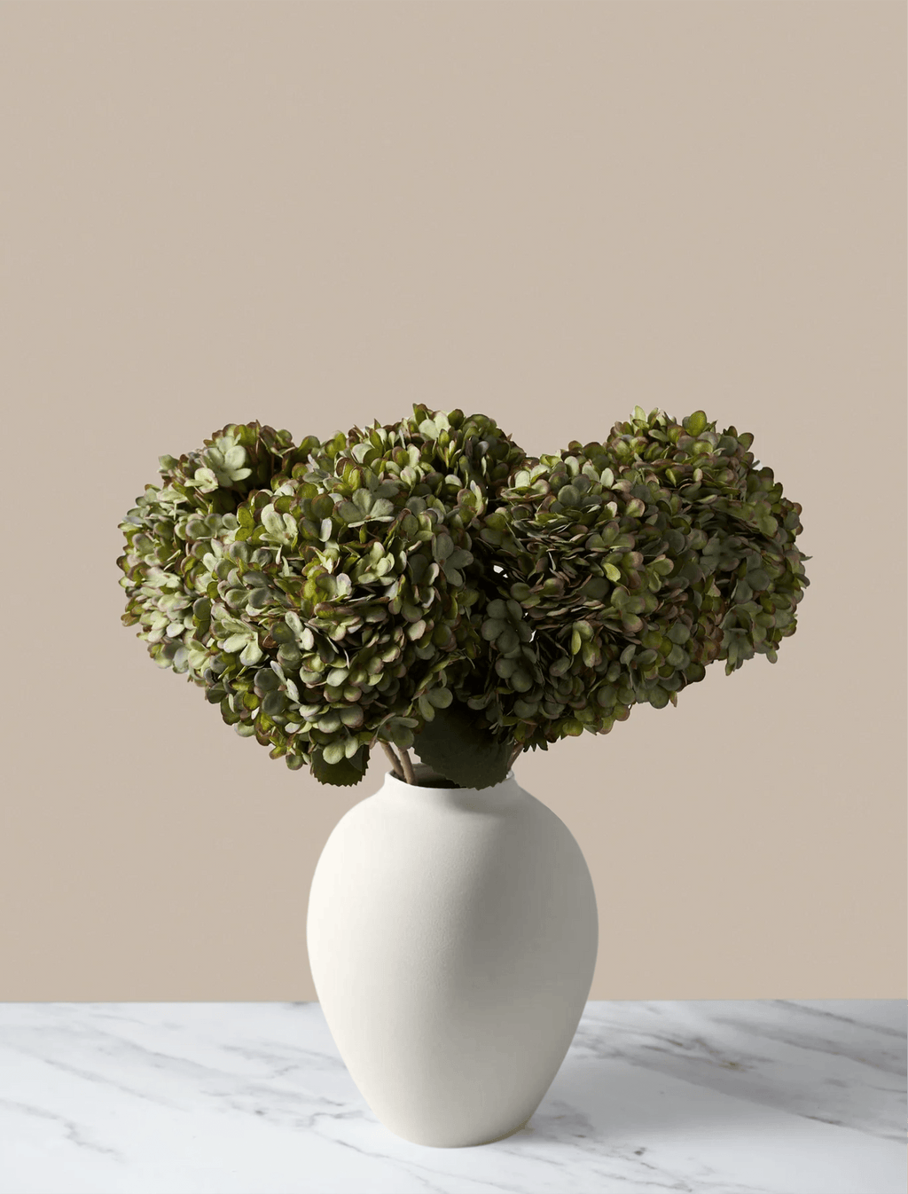 Green Hydrangea