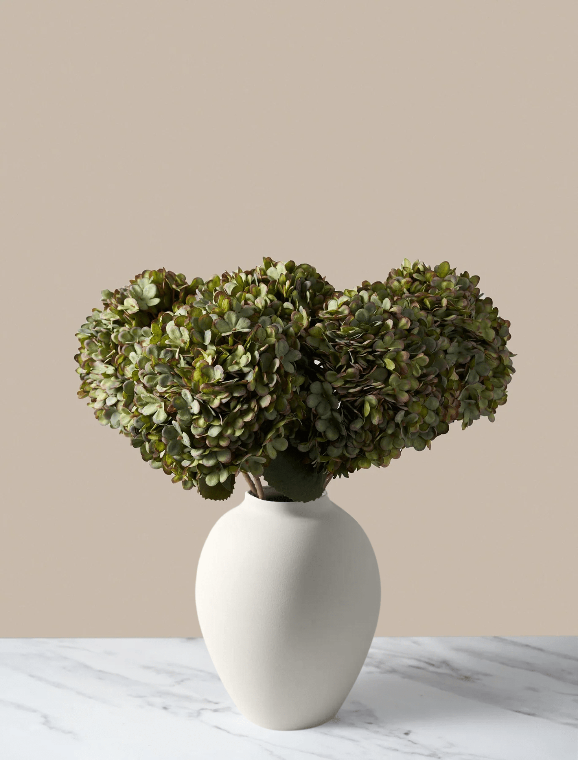 Green Hydrangea