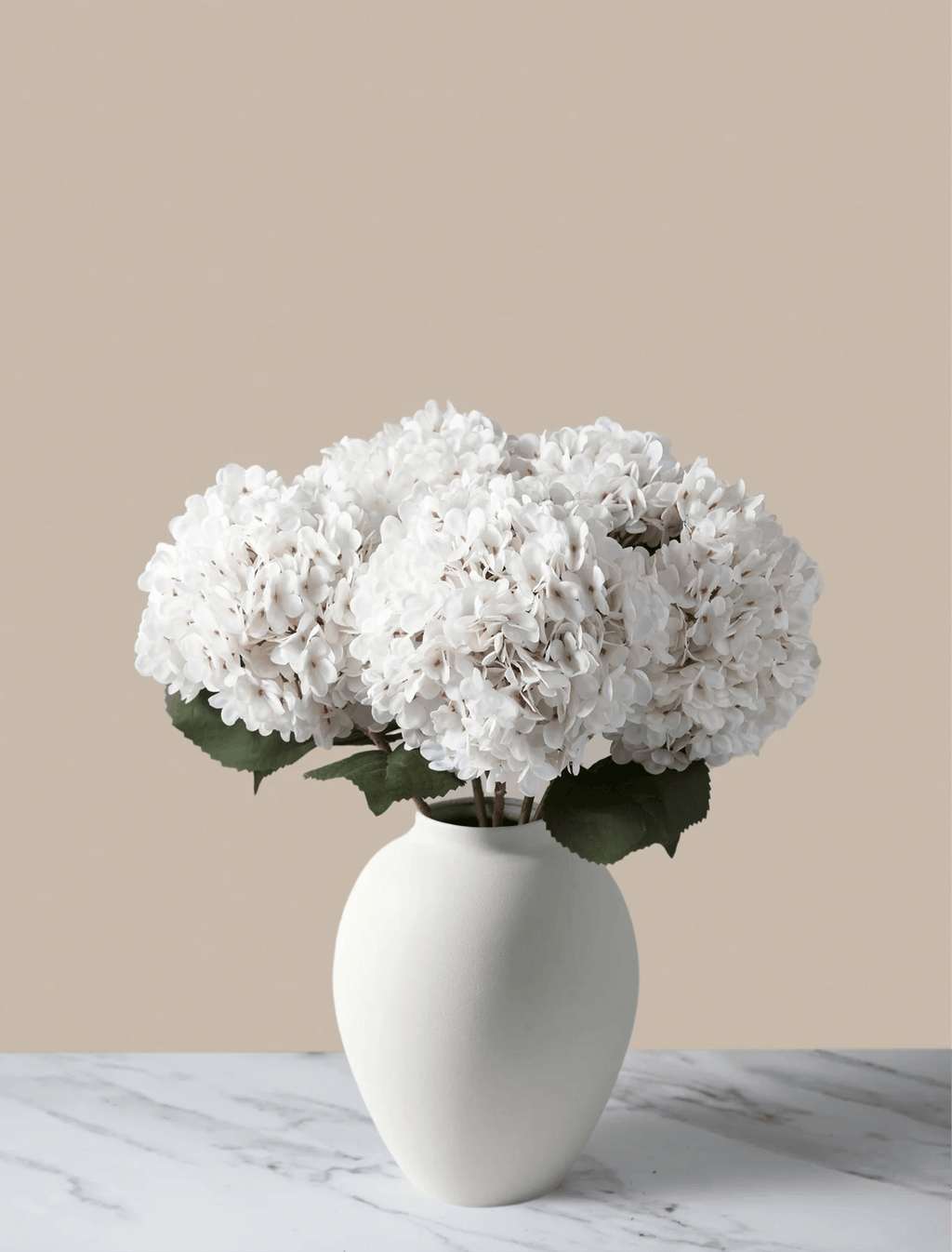 White Hydrangea