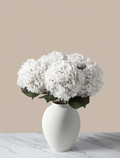White Hydrangea