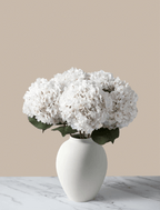 White Hydrangea