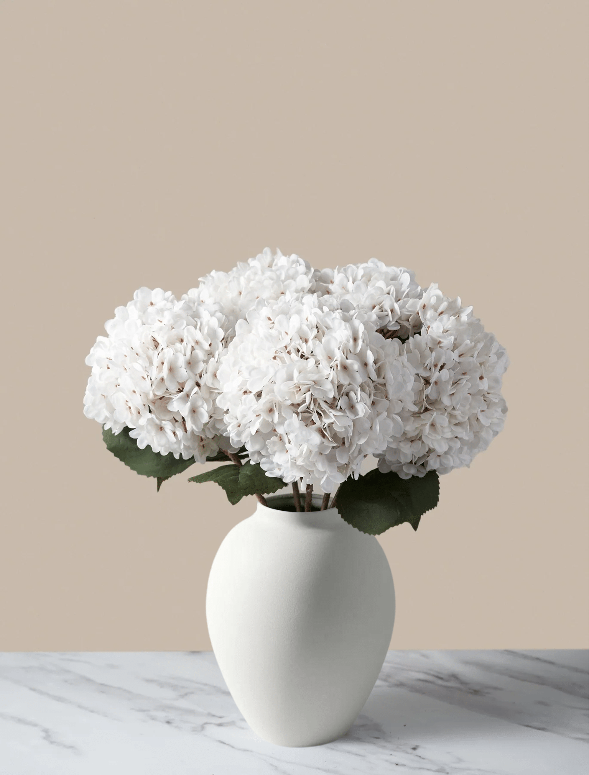 White Hydrangea