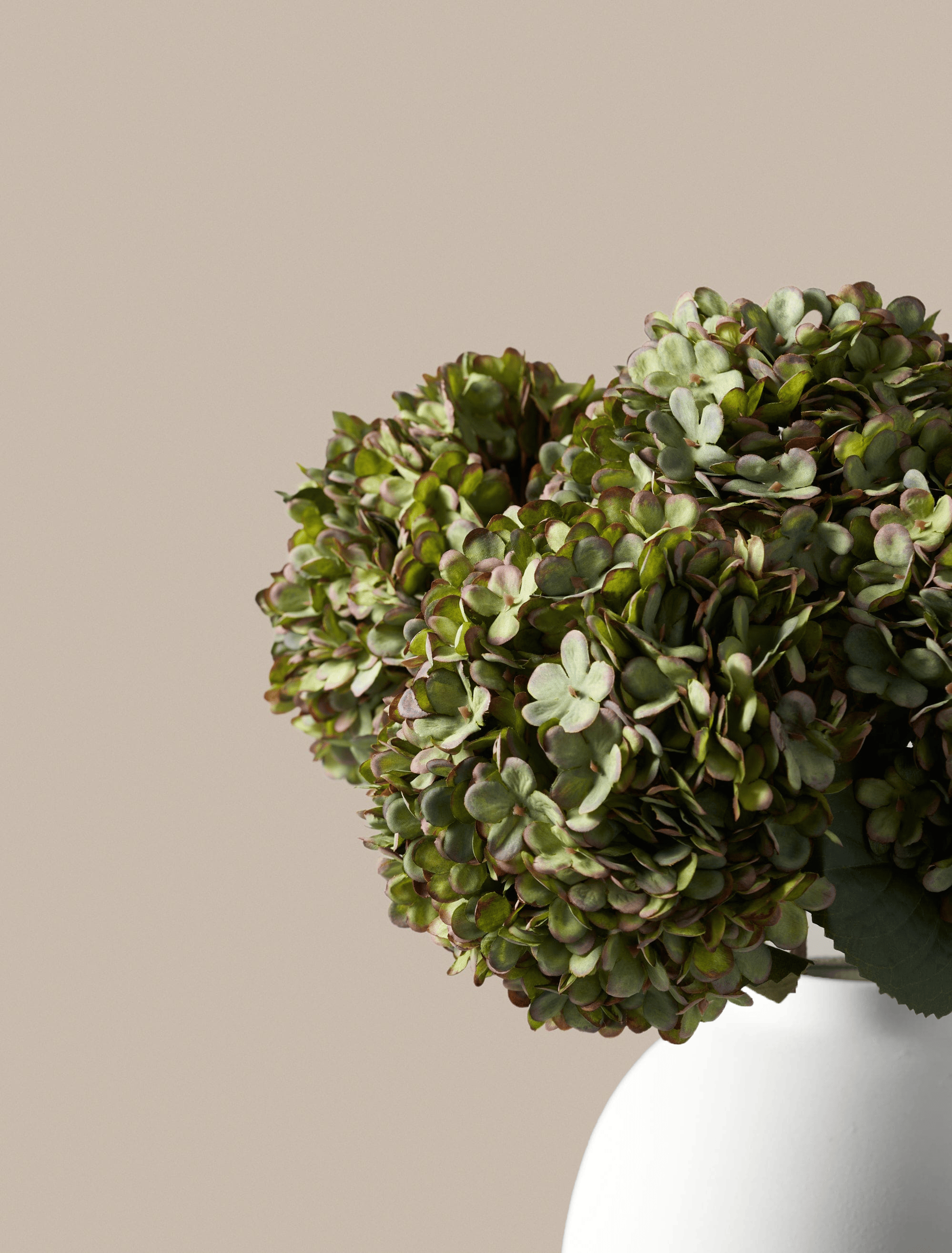 Green Hydrangea