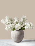 White Lilacs