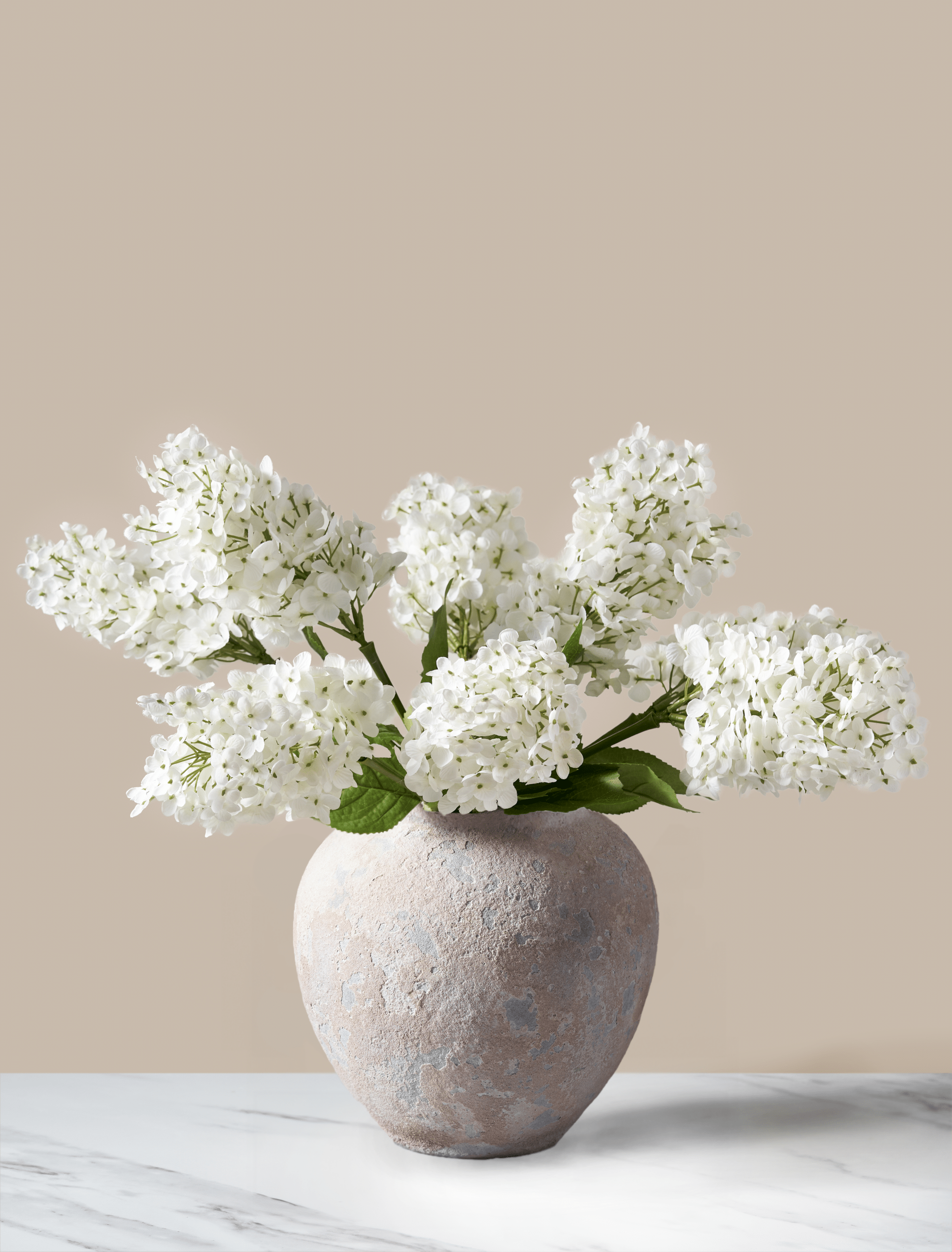 White Lilacs